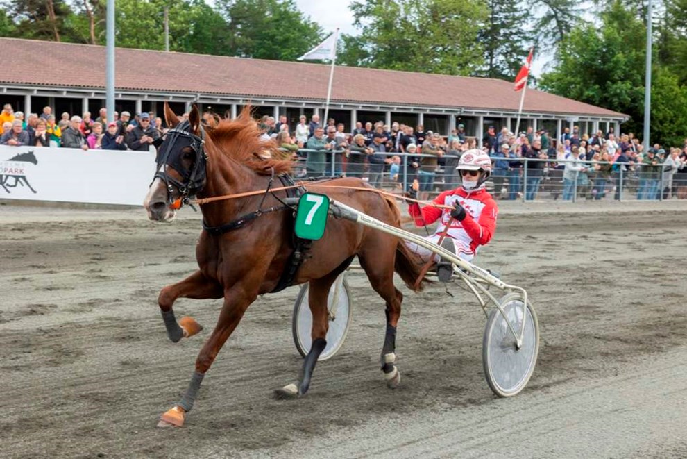 Tirsdag kres der derby p ovalen i Almindingen