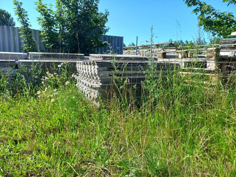 Asbestplader koster lodsejer over 200.000 kroner at komme af med: 'Det er helt forrykt' 