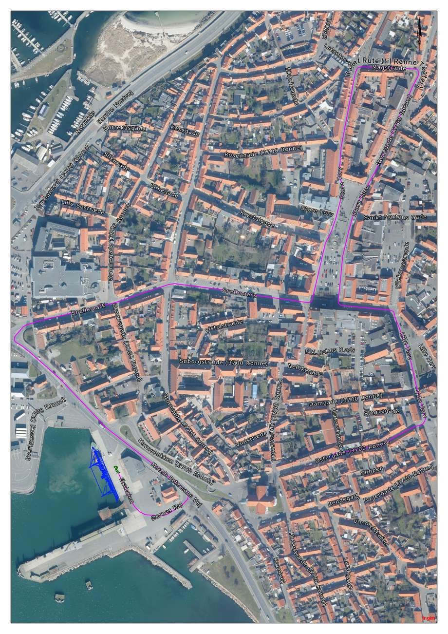 Se hvor kongeparret skal køre i karet Se hvor kongeparret skal køre i karet