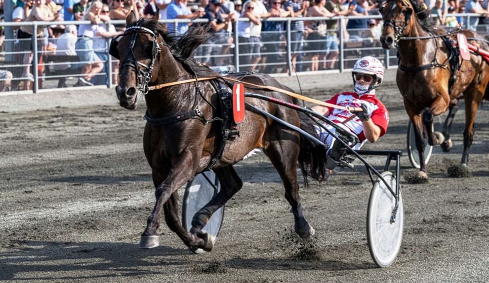 Mads Petersen i hopla