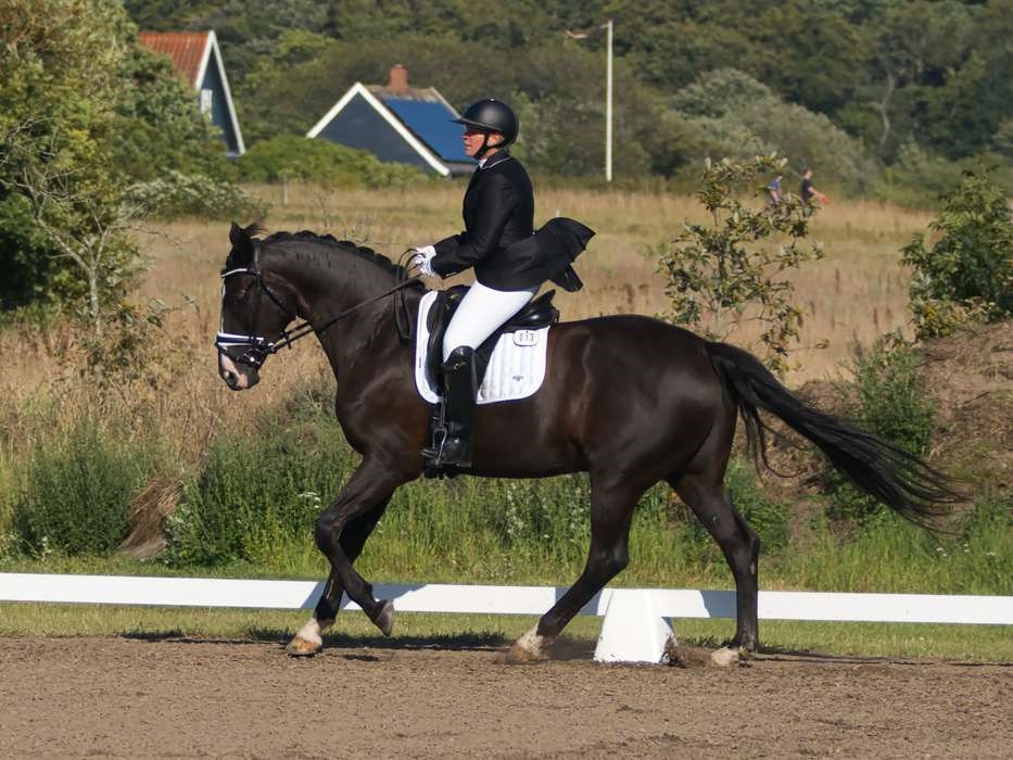 0,085 point skilte frste- og andenpladsen i dressur-BM