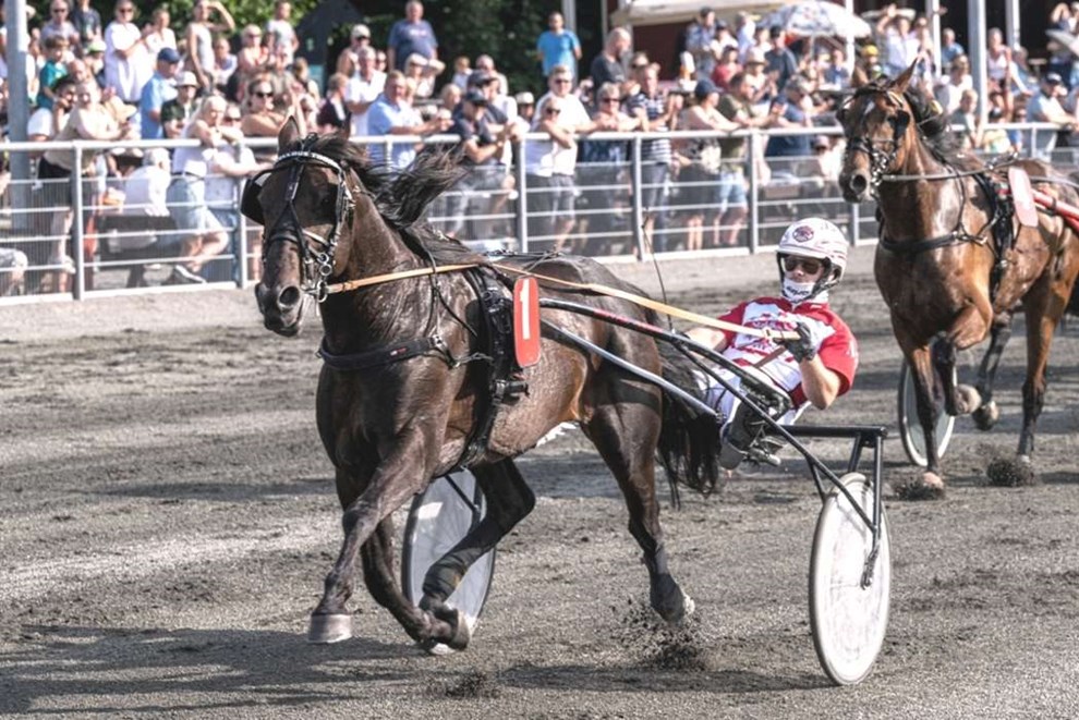 10 heste sl�s om BM