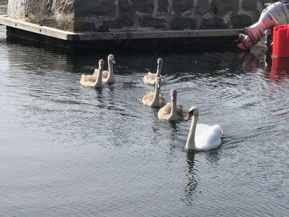 L�sernes bedste billeder 