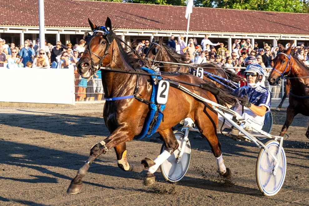 Hele Norden spiller med