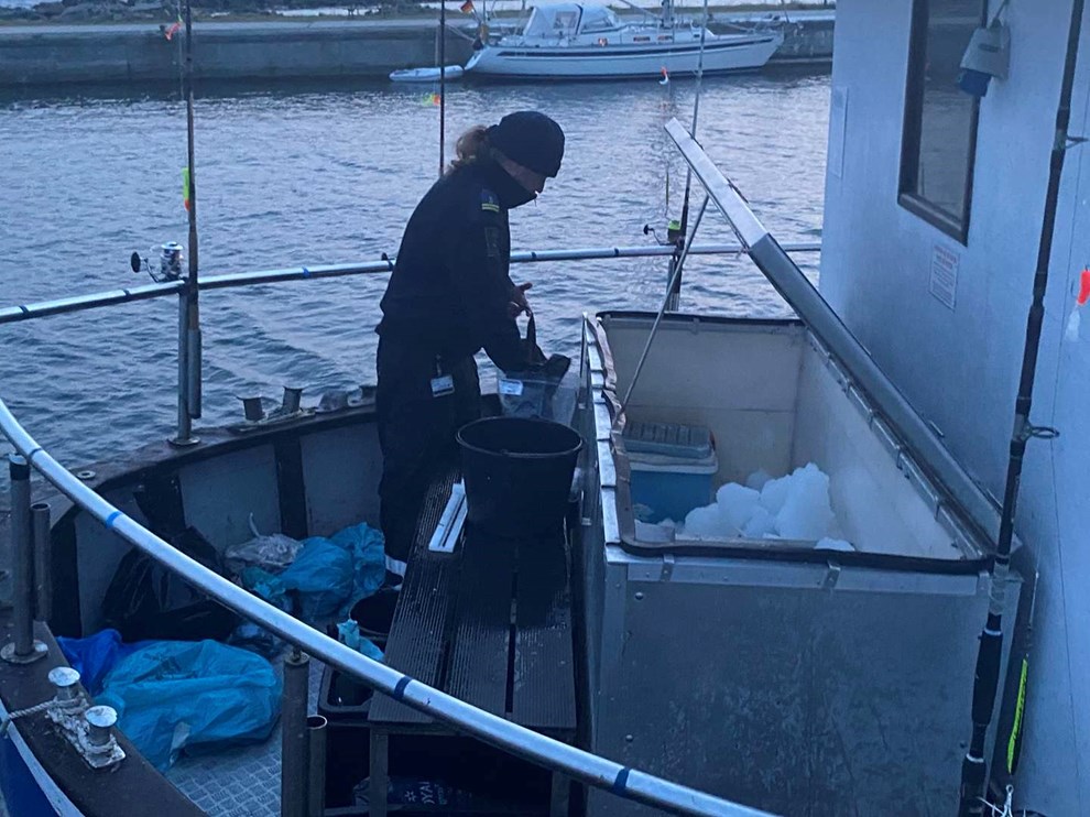 Polske turb�de er tilbage: 'De har ingen berettigelse'