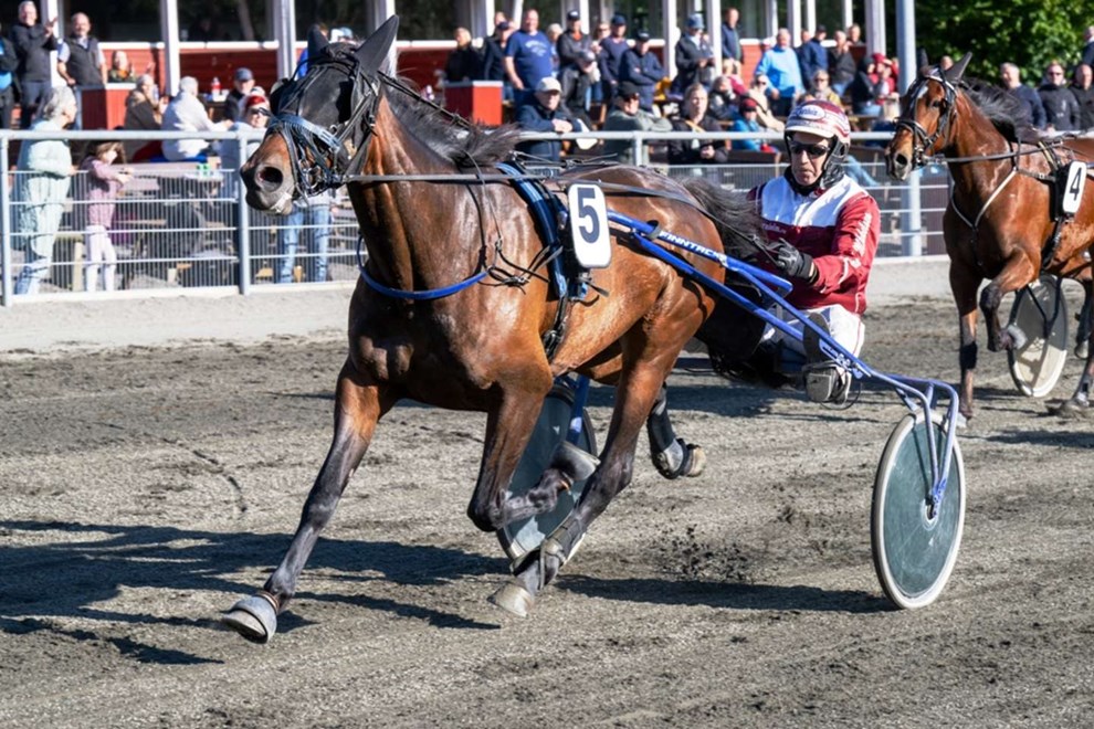 Bornholmerhesten genindfres i 2025