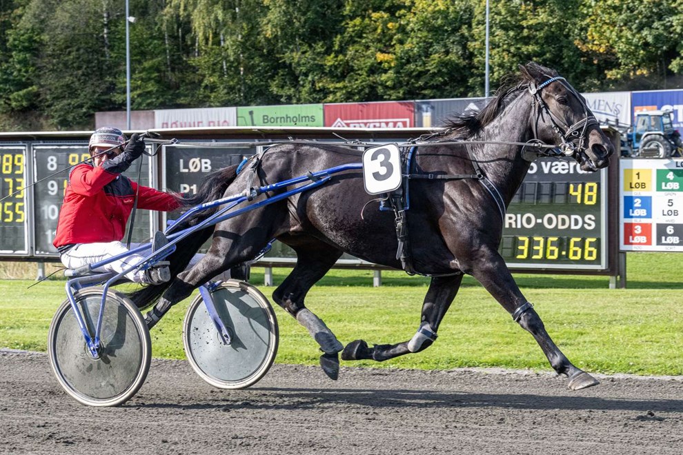 Blackbird S vandt mindelb