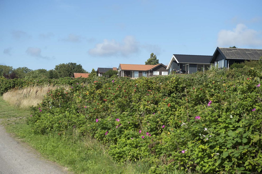 Projekter flere steder p� �en: Plan om 20 nye sommerhuse i Olsker
