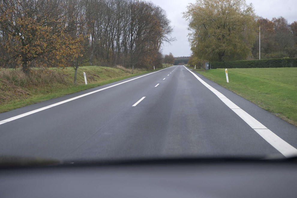 Pas p� i skoven: Mange hjorte bliver p�k�rt her p� �en