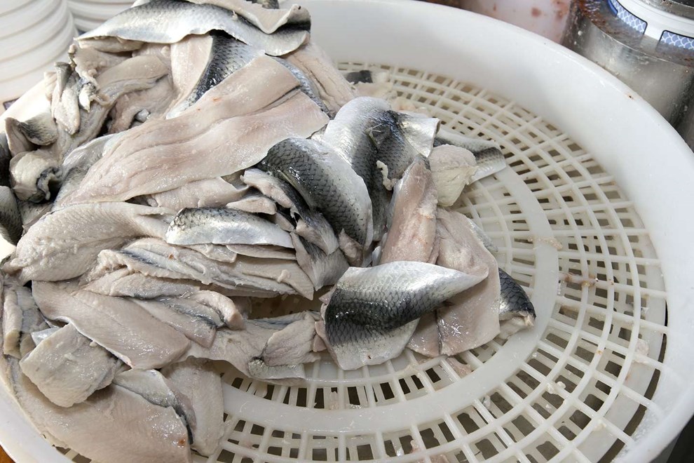 'En katastrofe': Ny sildekvote bekymrer Sverige