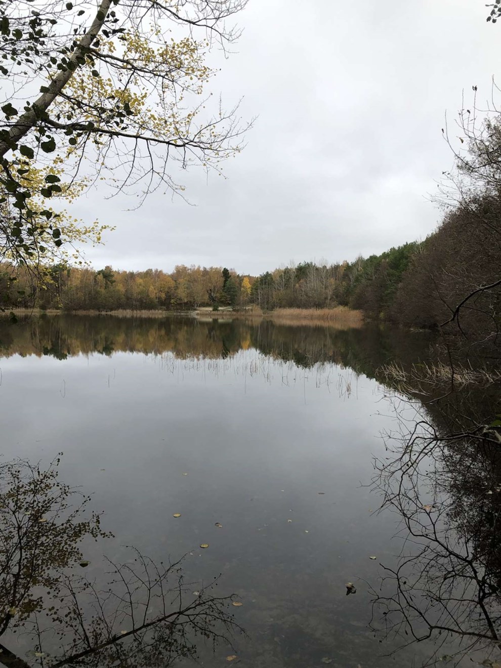 Dagens billede: Stille efterårsidyl ved Pyritsøen Dagens billede: Stille efterårsidyl ved Pyritsøen