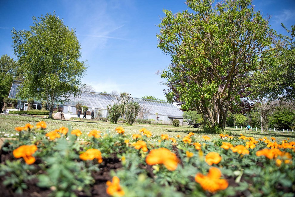 Nye ejere holder kortene tt til kroppen