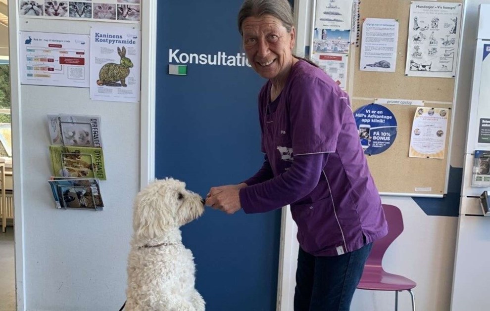 Dyrl�ge pludselig d�d