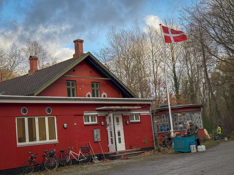 Helt ude i skoven - men mange finder vej