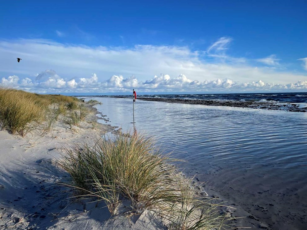 Dagens billede: Stranden på Dueodde er oversvømmet