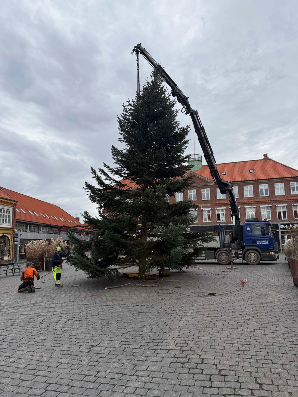 Juletr�et har fundet sin plads