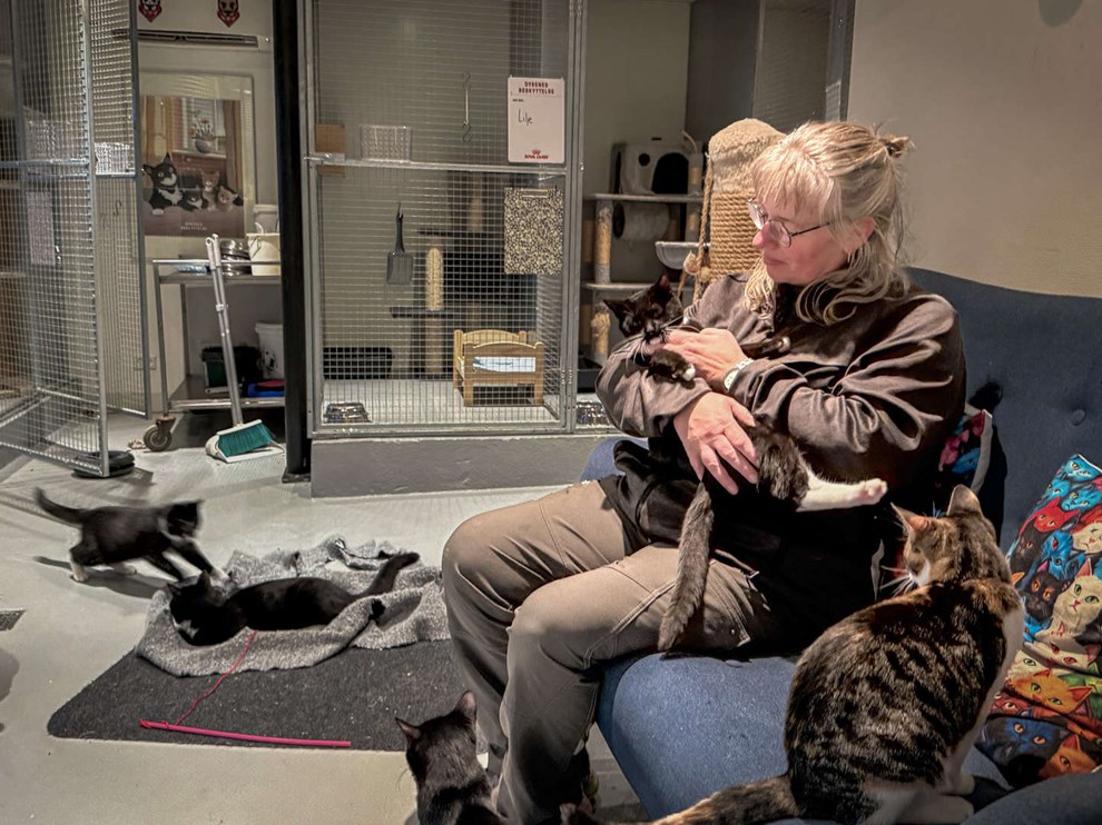 Oprb delt 869 gange: Nu har de frste adoptivforldre meldt sig