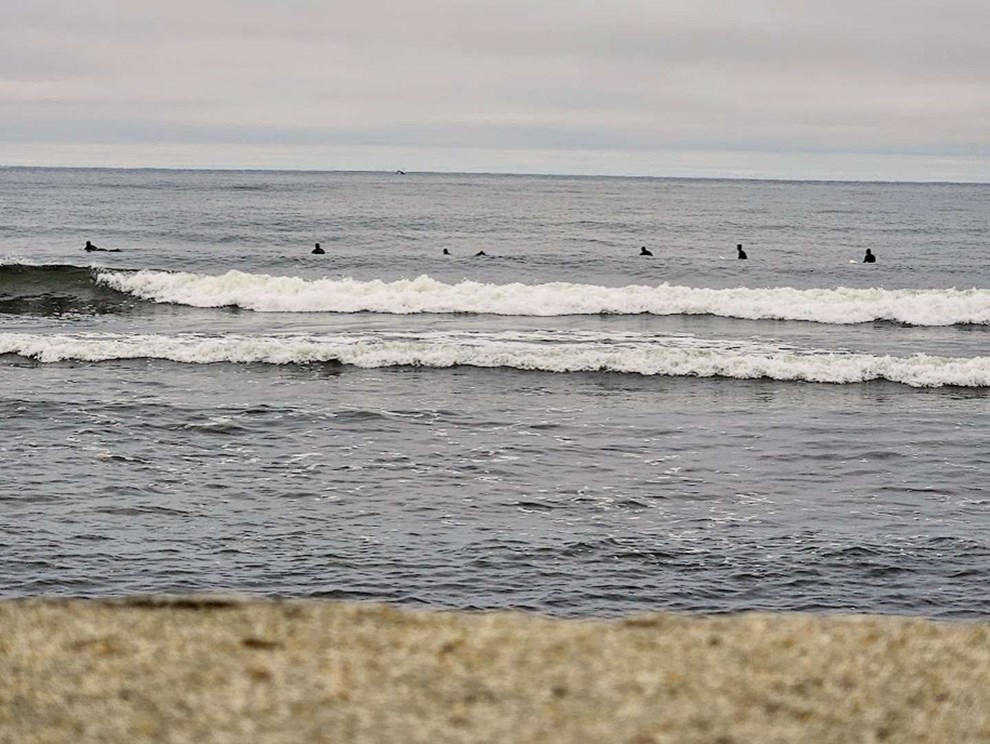 Dagens billede: Gode blger til de store 