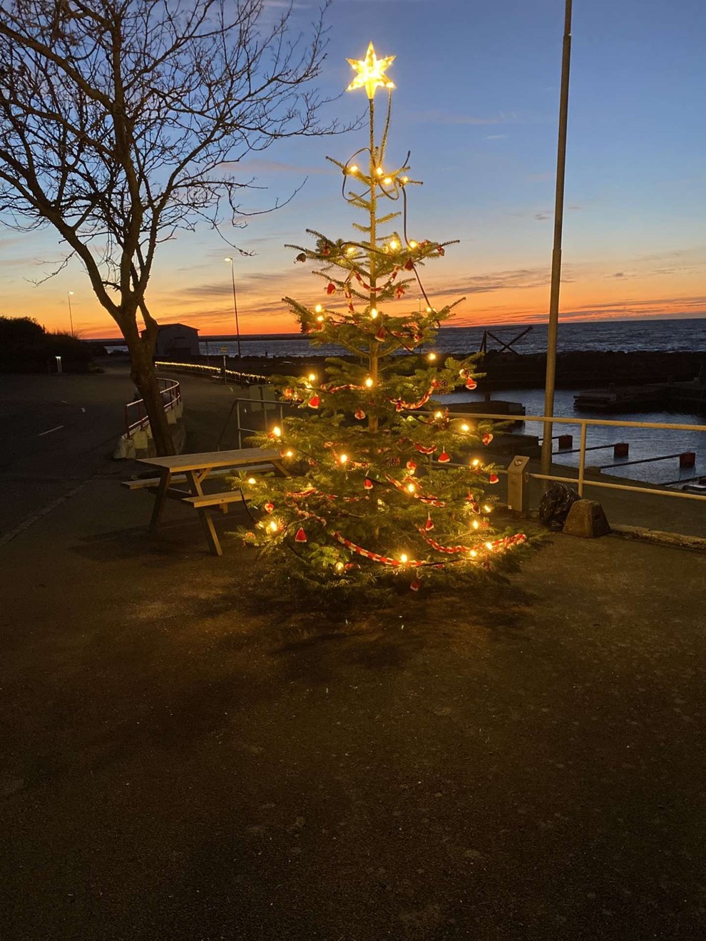 Dagens billede: Juletret p Vang havn