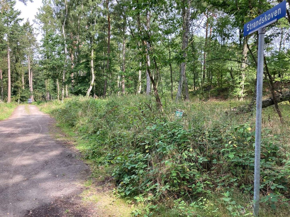 Bevar sommerhusomr�derne