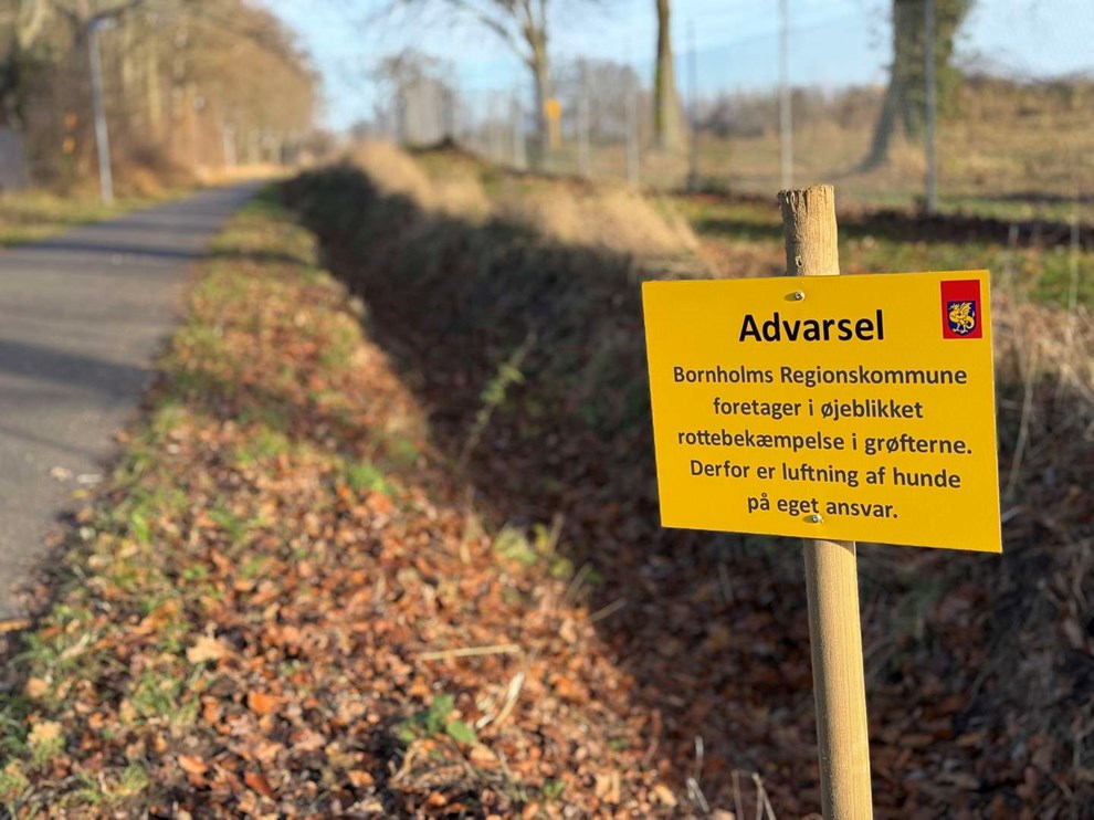 Rotteboom: Anmeldelserne v�ltede ind