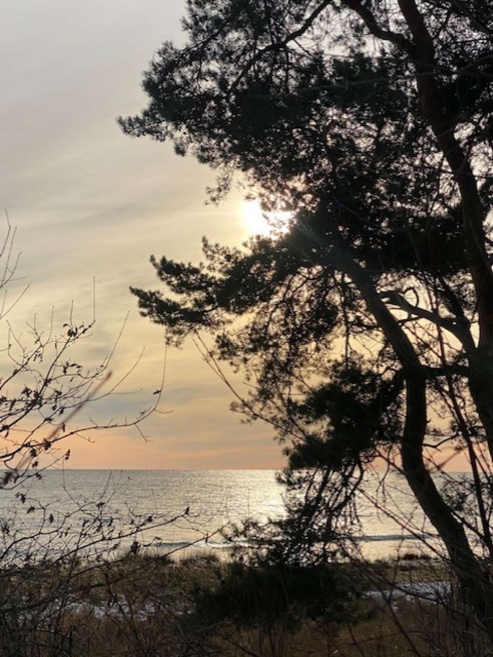 Dagens billede: Solfaktor ved Nex� Sydstrand