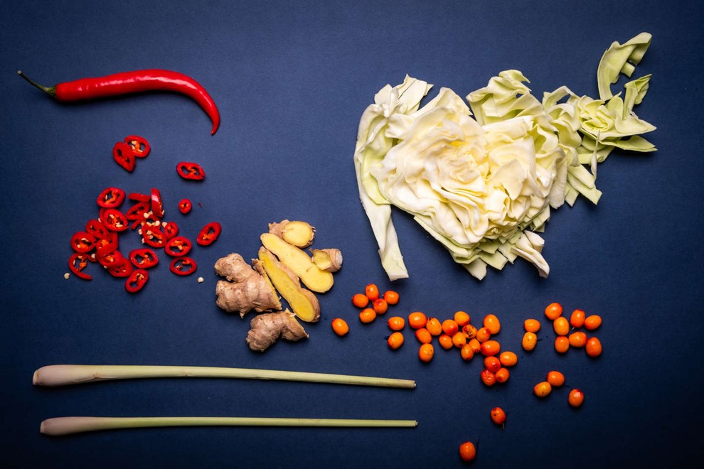 Nyt�rsfors�t med SNAVS