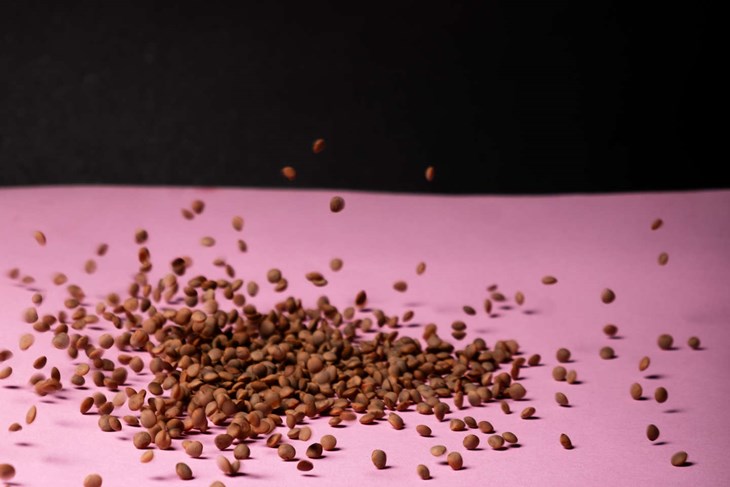Linser til bornholmer-miso. Foto: Sune Rasborg