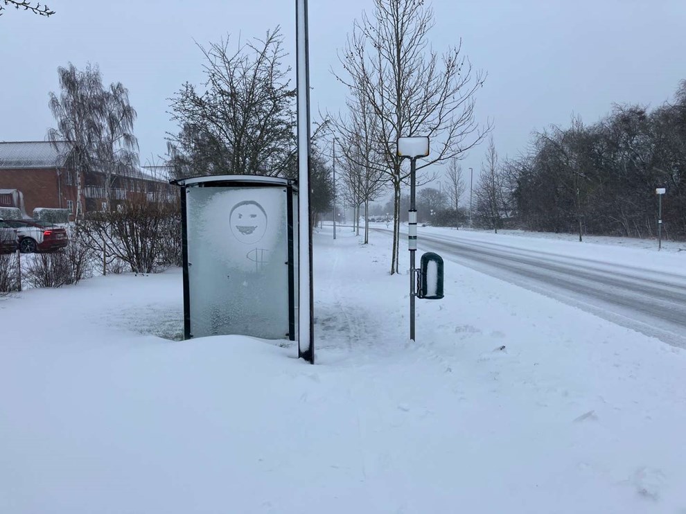 Dagens billede: Vintervejr med godt humr