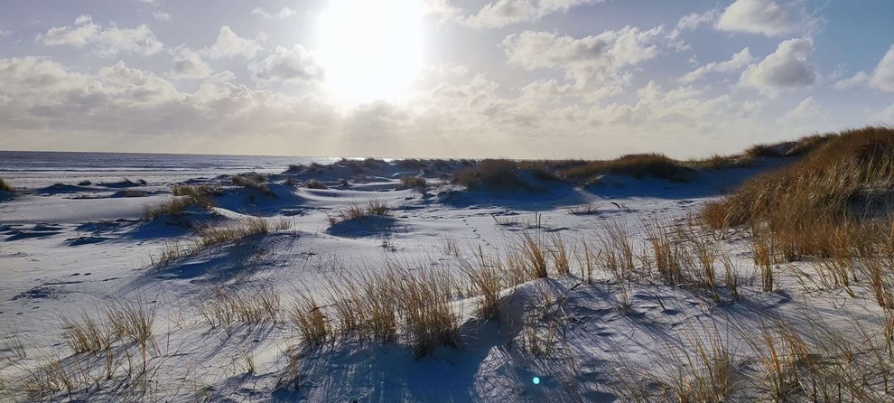 Dagens billede: Sol over Dueoode