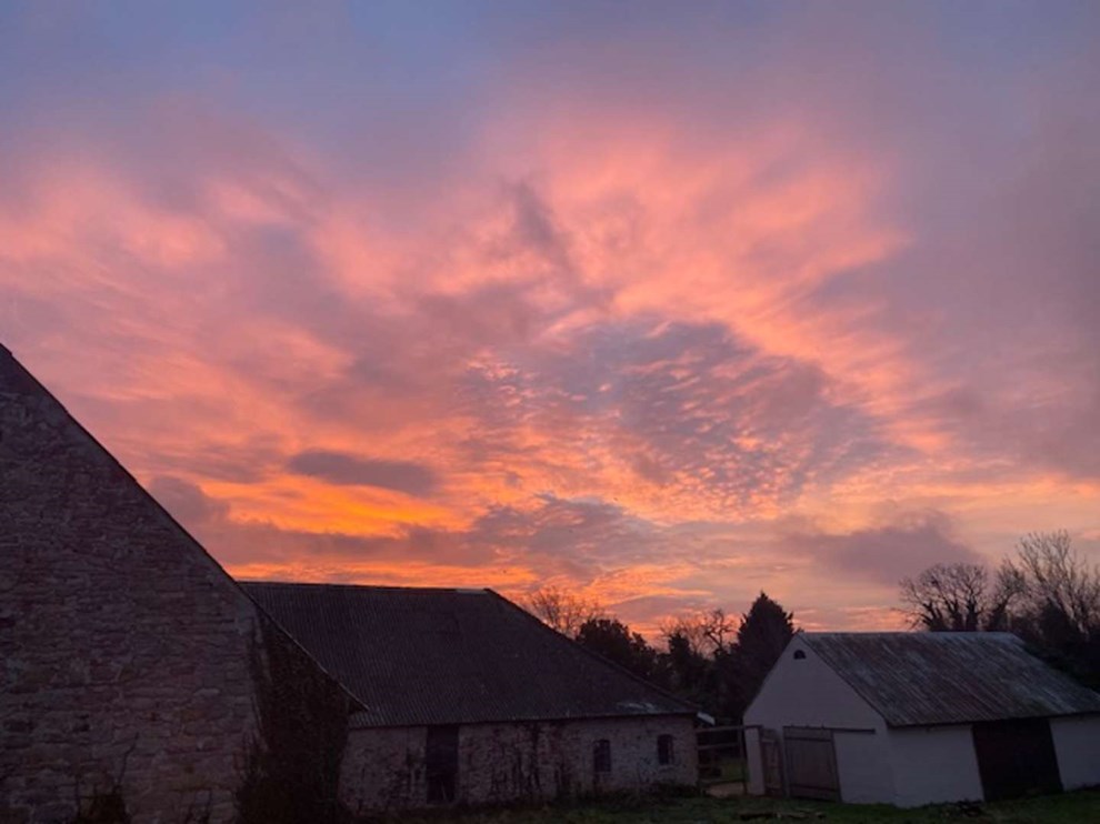 Dagens billede: Morgenstundens palet