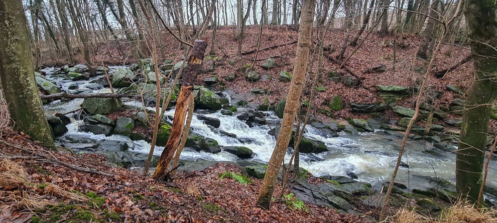 Læsernes januar-billeder