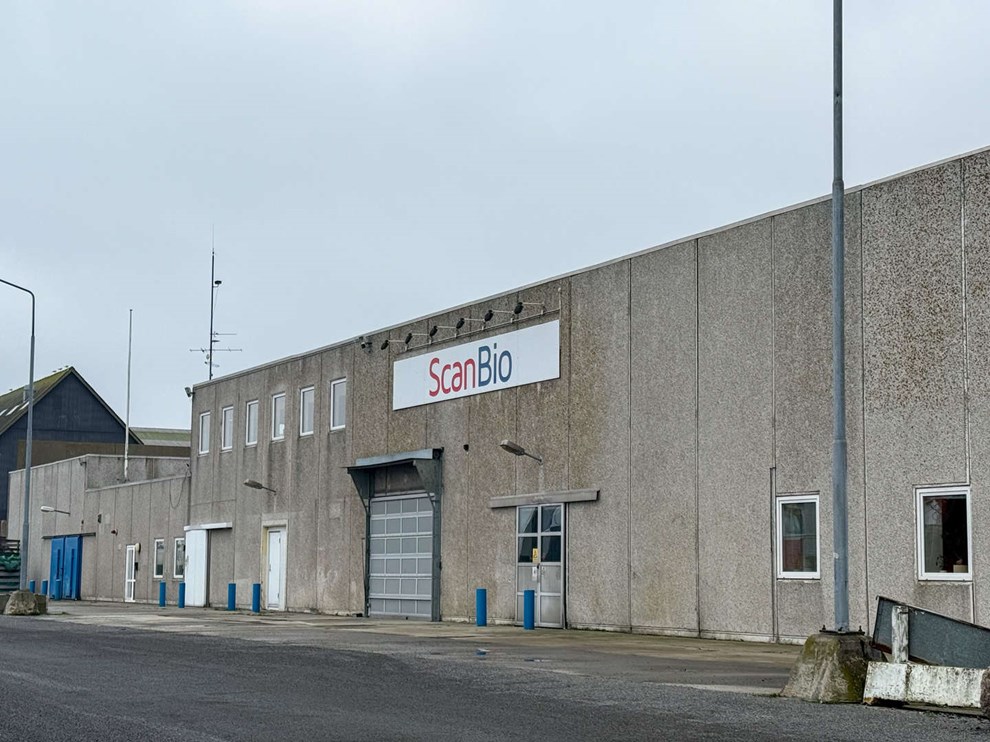 Stor erhvervsejendom til salg Stor erhvervsejendom til salg