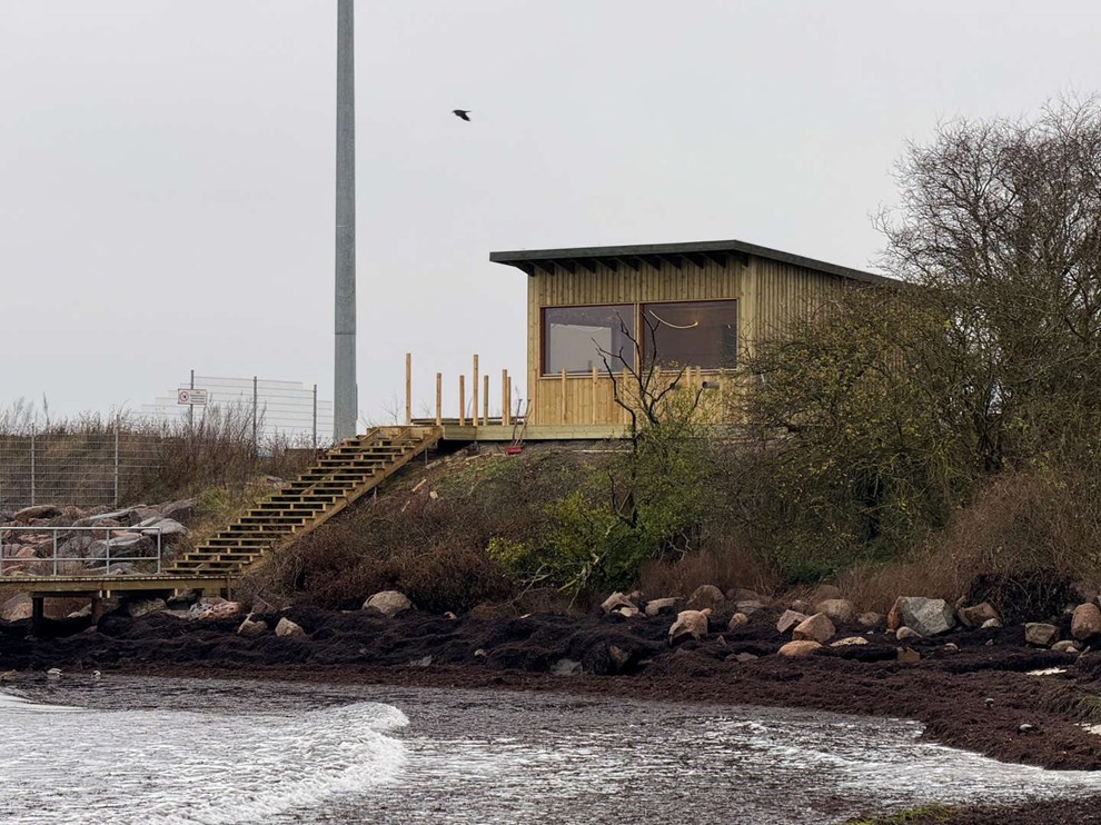 De f�rste hopper i vandet klokken 14.18