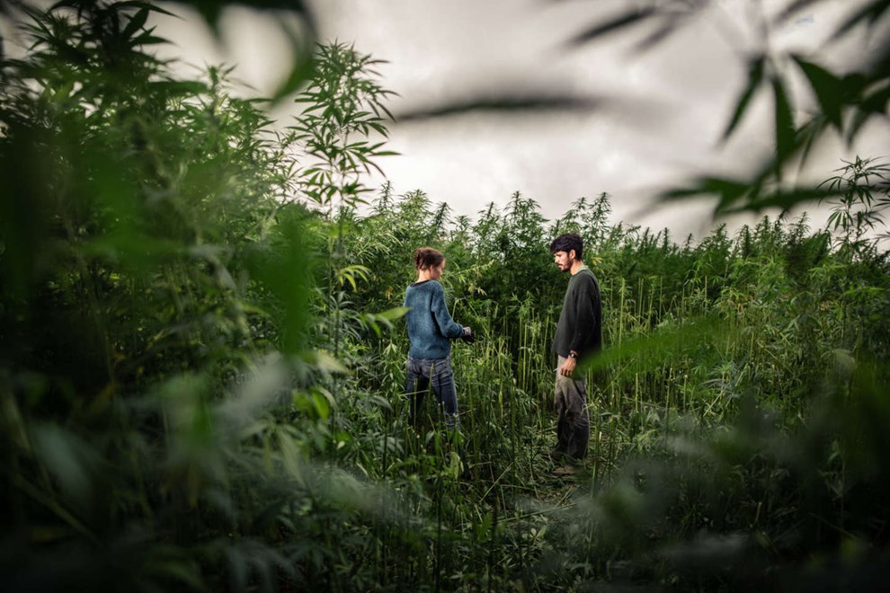 Påbud lukkede webshoppen: Vil tage til genmæle Påbud lukkede webshoppen: Vil tage til genmæle