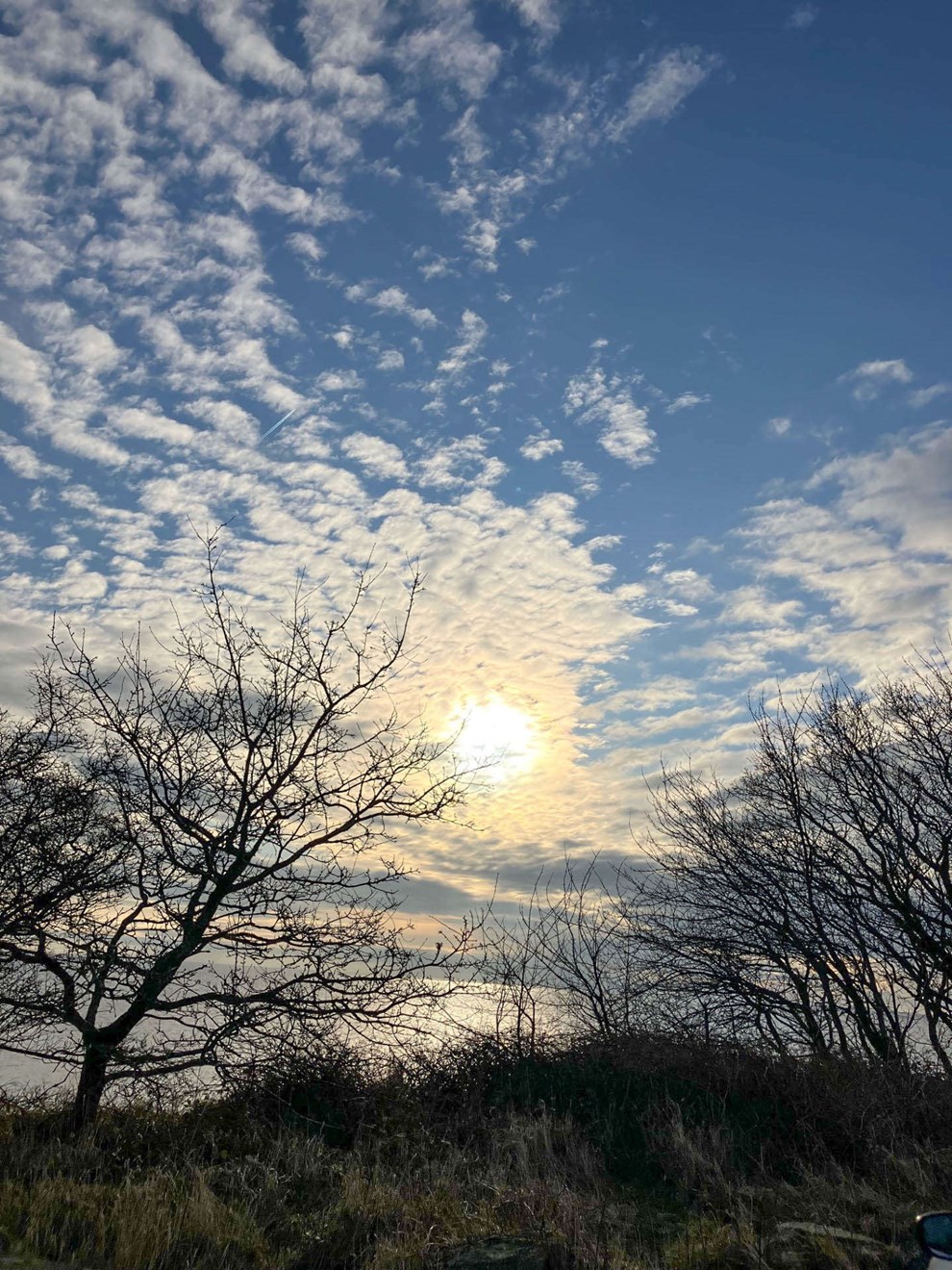 Dagens billede: Formiddag ved Sose bugt Dagens billede: Formiddag ved Sose bugt