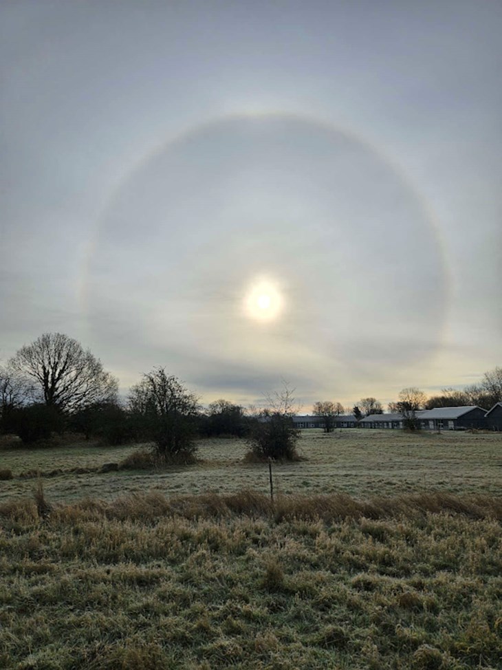 Kyndelmisse sl&aring;r ring om solen. Foto: Lone Melnyk 