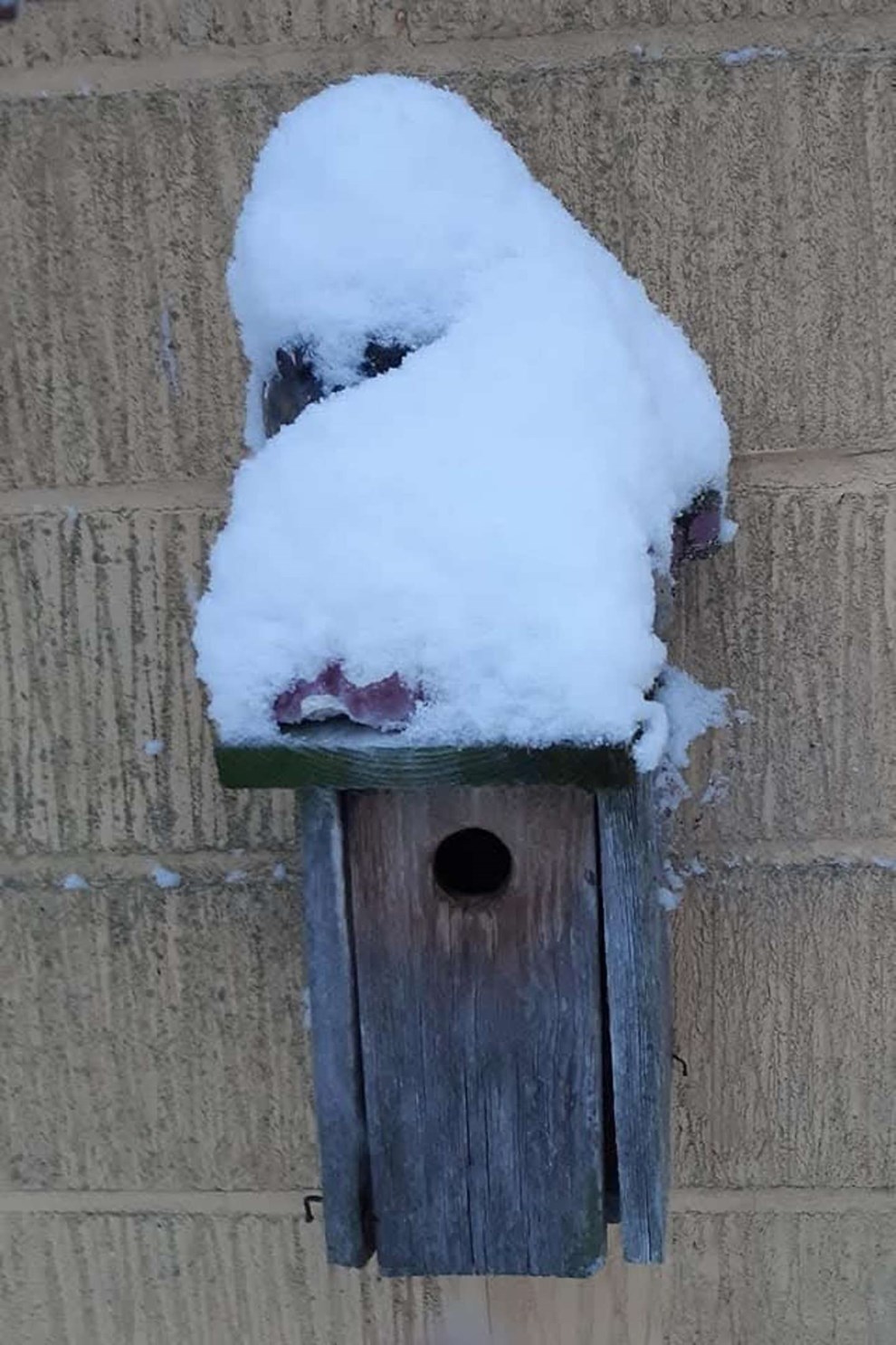 Dagens billede: P� Bornholm er der mange 