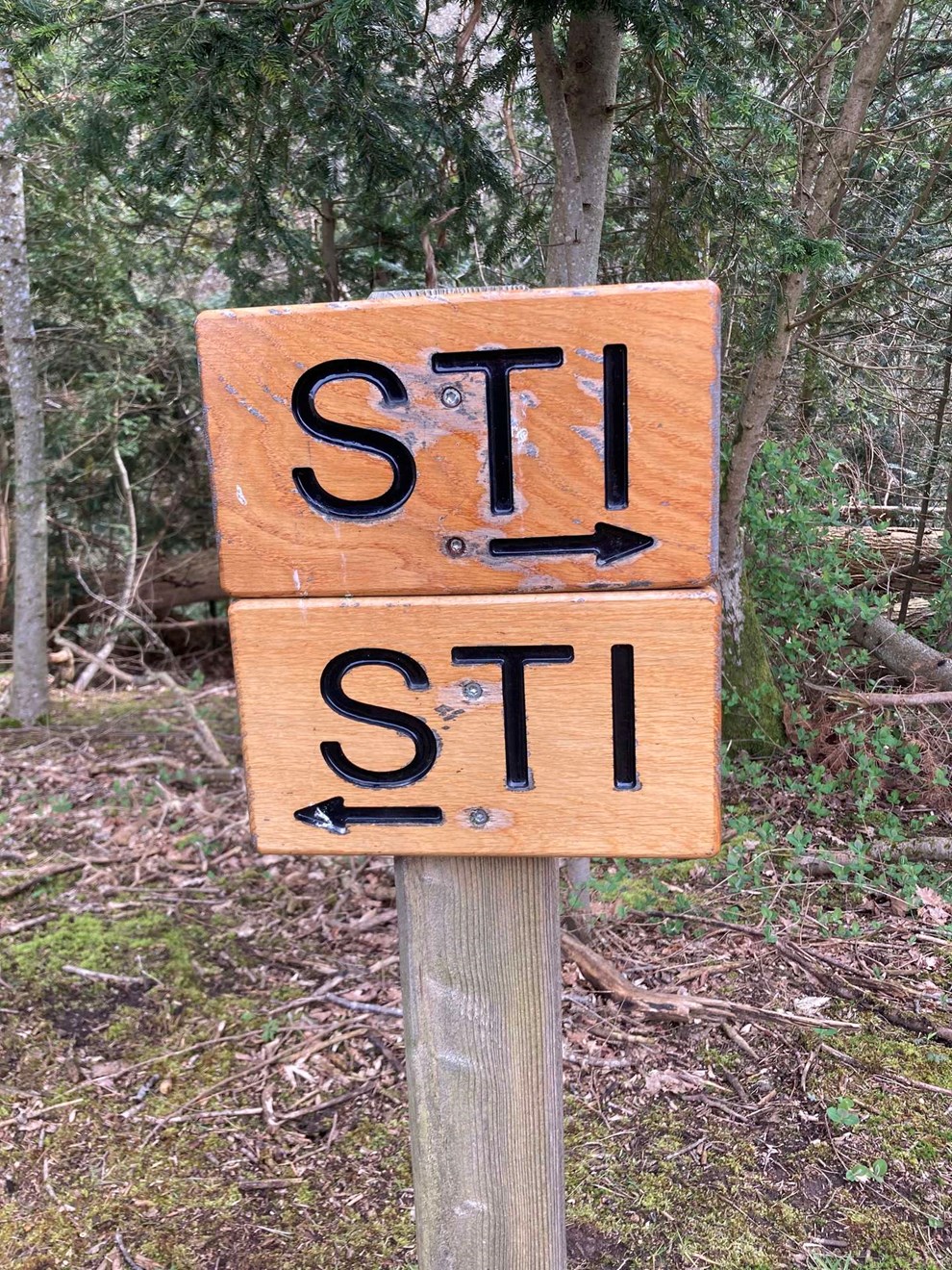 Kommunens �nsketal er ren utopi