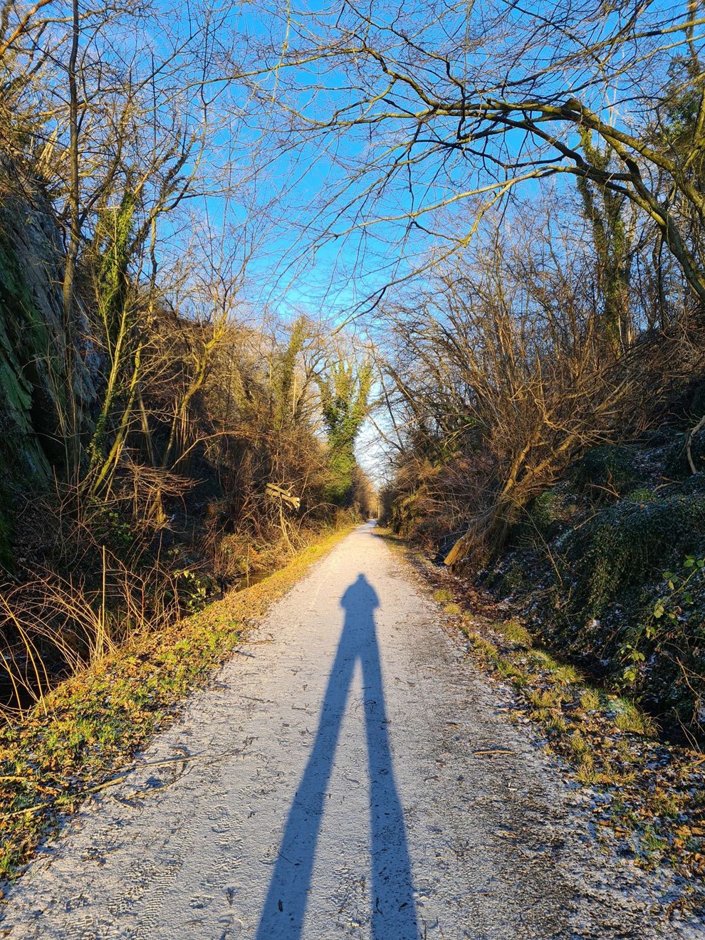 Dagens billede: Sne, sol og skygge i Kleven