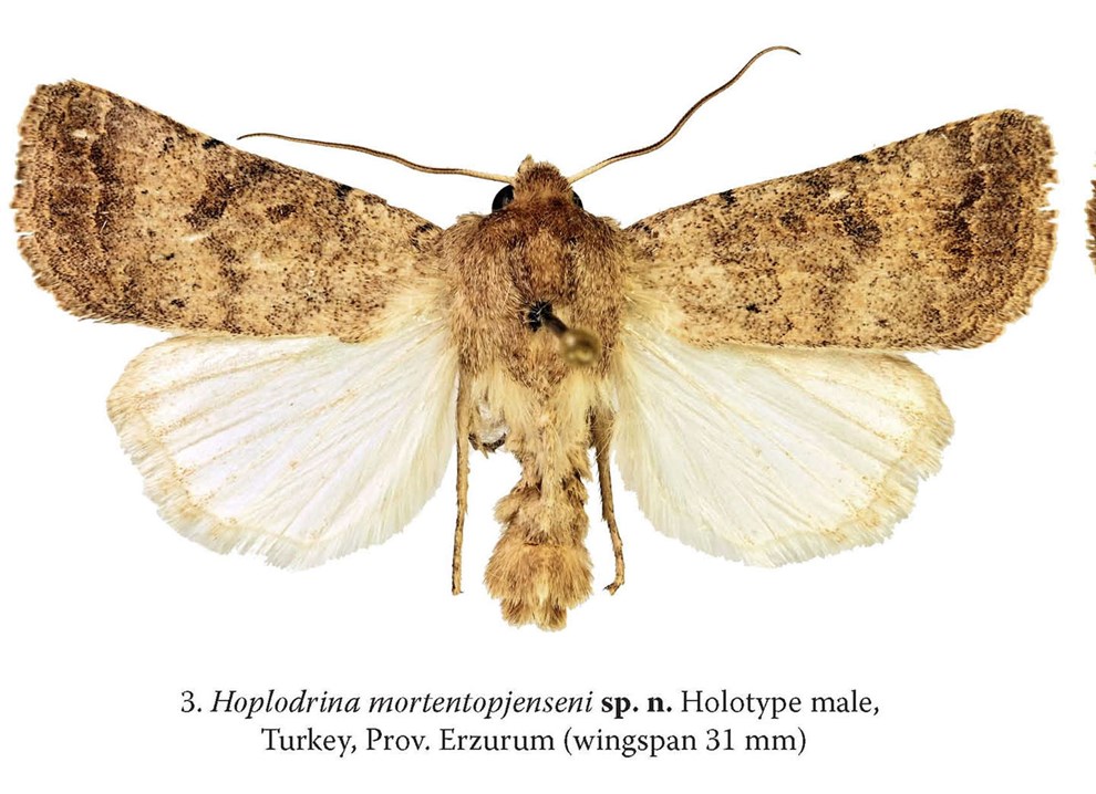 Morten Top flyver rundt i Tyrkiet om sommeren