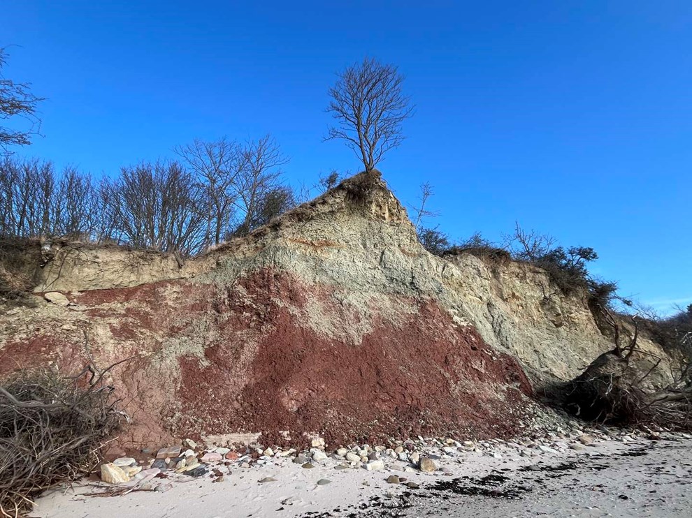 Dagens billede: Den næste storm tager nok det her træ Dagens billede: Den næste storm tager nok det her træ