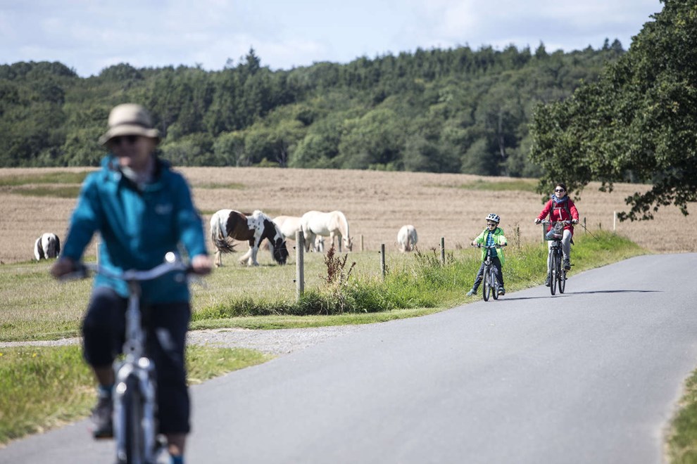 Digital guide skal give cyklister de bedste oplevelser