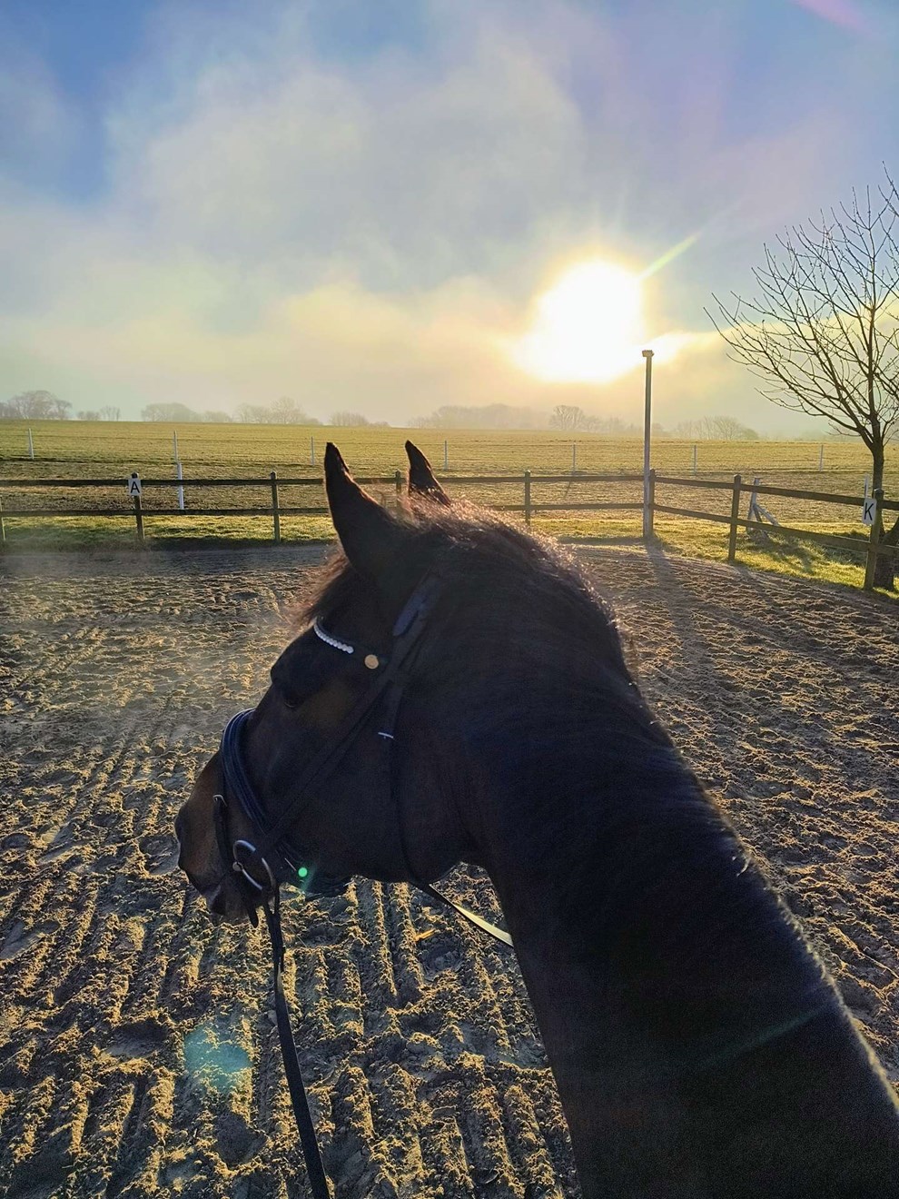 Dagens billede: T�gen letter - for�ret s�tter ind! 