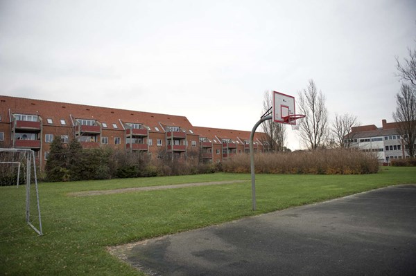 Groft uansvarligt: Skandale for hundrede af millioner
