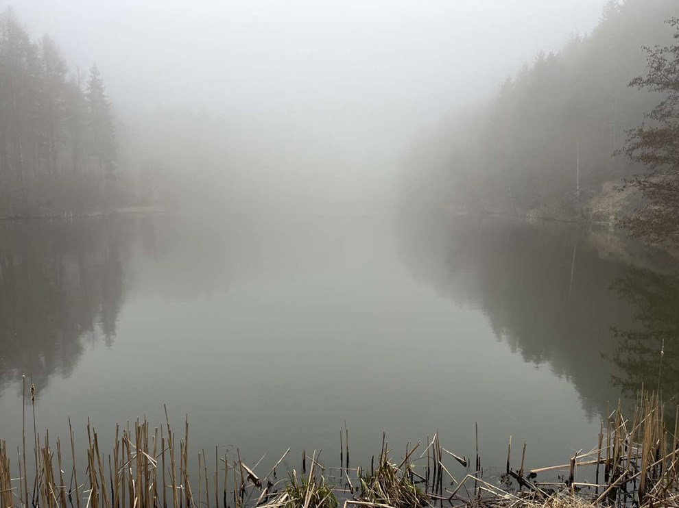 Dagens billede: Tåge over Borgedalssøen Dagens billede: Tåge over Borgedalssøen
