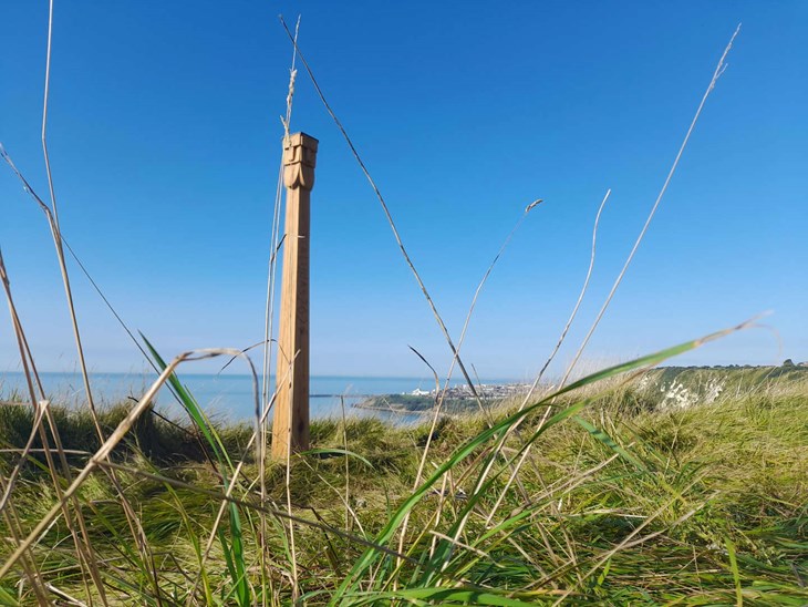 I august 2023 dukkede denne p&aelig;l op ved en vandristi i Sydengland. Ingen ved, hvem der stillede den op, men den st&aring;r der stadig. Foto: Kent Wildlife Trust