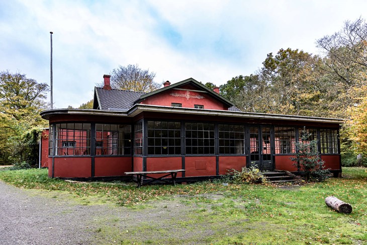 Villa Novas k&oslash;ber skal v&aelig;re glad for farven r&oslash;d. Foto: Sarah Thun Kristensen