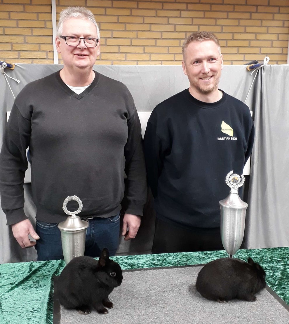 Bornholmske kaniner vinder igen