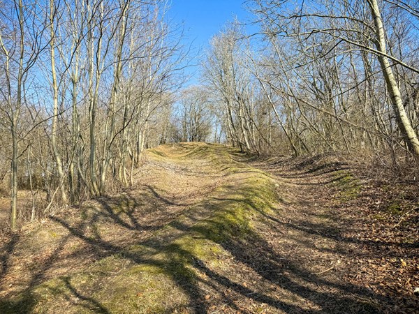 Nu kan du k�lke her, uden en gren falder ned i hovedet p� dig